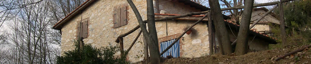 Testata sito Dini & Nieri
